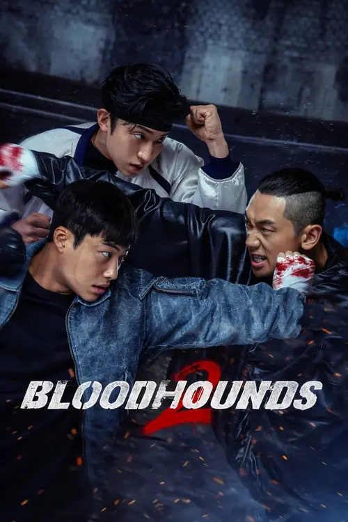 Download Bloodhounds (Season 1 – 2) Multi Audio {Hindi English Korean} NetFlix Series 480p | 720p | 1080p WEB DL 23 bloodhounds season 1