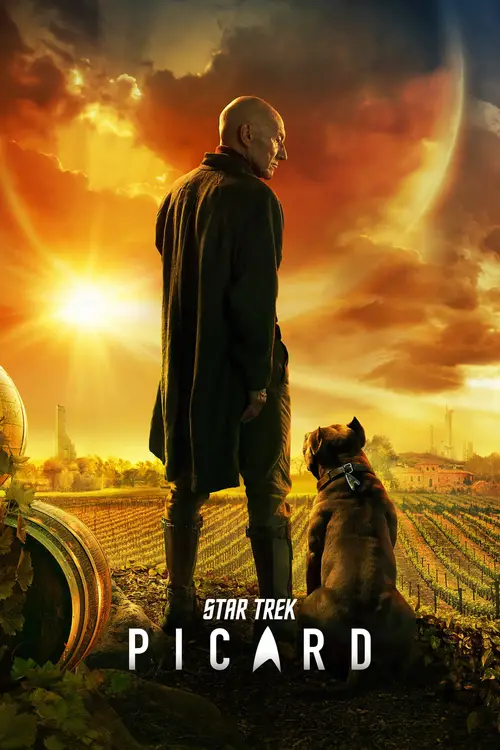Download Netflix Star Trek: Picard (2020) Season 1 Hindi {All Episodes} 480p & 720p 5 netflix star trek picard 2020